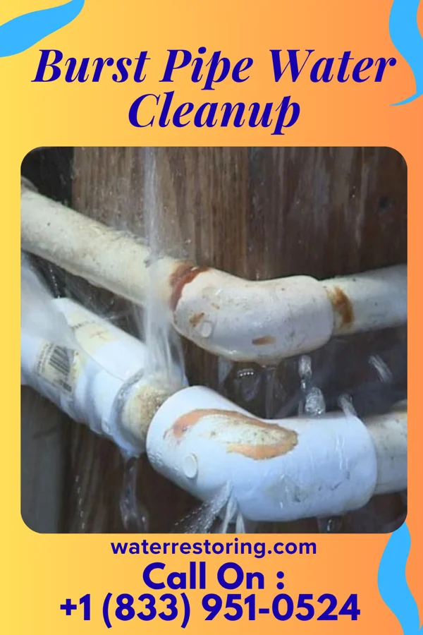 Burst Pipe Water Cleanup in Summerfield, OH