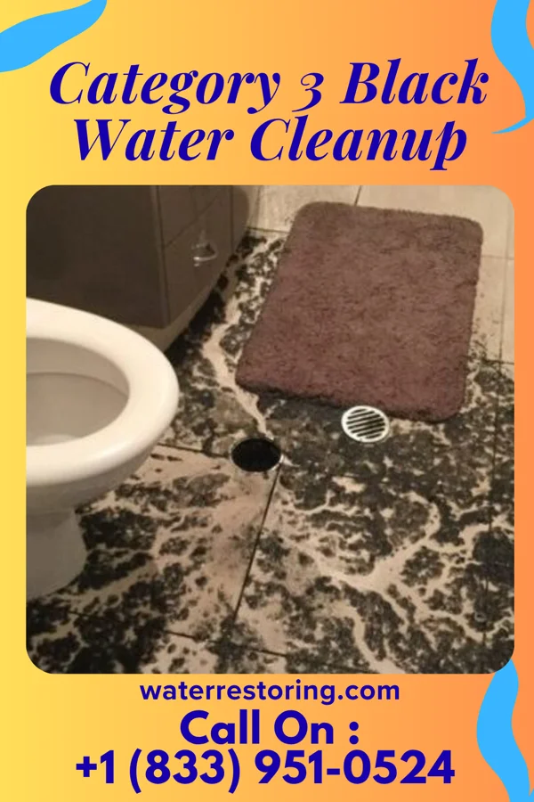 Category 3 Black Water Cleanup in Summerfield, OH