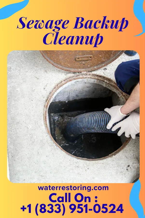 Sewage Backup Cleanup in Summerfield, OH